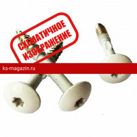 Саморезы Cedral (Кедрал) TORX+WING (по дереву, грибовидная окрашенная шляпка), цвет C54 /1 шт/
