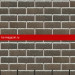 Панель фасадная Docke (Дёке) PREMIUM BRICK (Зрелый каштан) /панель/