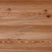 Профлист МЕТАЛЛ ПРОФИЛЬ МП-20x1100-B (ECOSTEEL_T-01-Кедр-0,5)