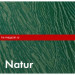Краска для фибросайдинга Decover Natur 0,5 кг